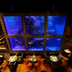 ウミガメのいる水槽を眺めながら、非日常空間を満喫