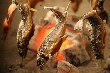 北信越の山海の味覚をお楽しみいただく「方舟　大吟醸いろり」の旬の食材をふんだんに使用したプラン。