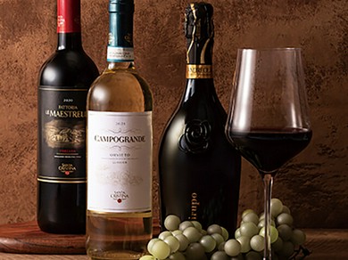 種類豊富なイタリアワイン