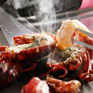 活オマール海老