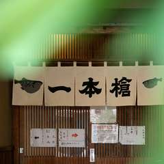 熟練の技術で質の高いふぐ料理を堪能できる専門店