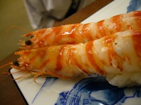 海老の中の最高級品、甘い身の味とプリプリの食感をお楽しみ下さい。