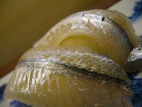 下あごが長く非常に美しい細長いお魚です。
細工寿司にも多く用いられます。