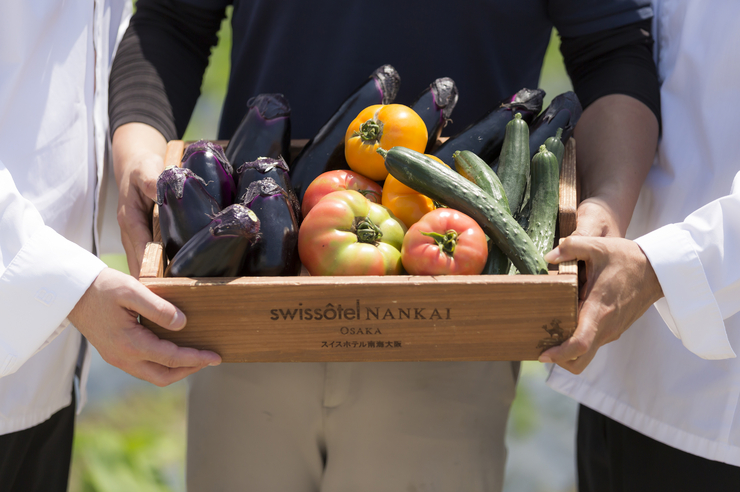 현지산 야채를 많이 도입하여 소재에 숨겨진 맛을 승화