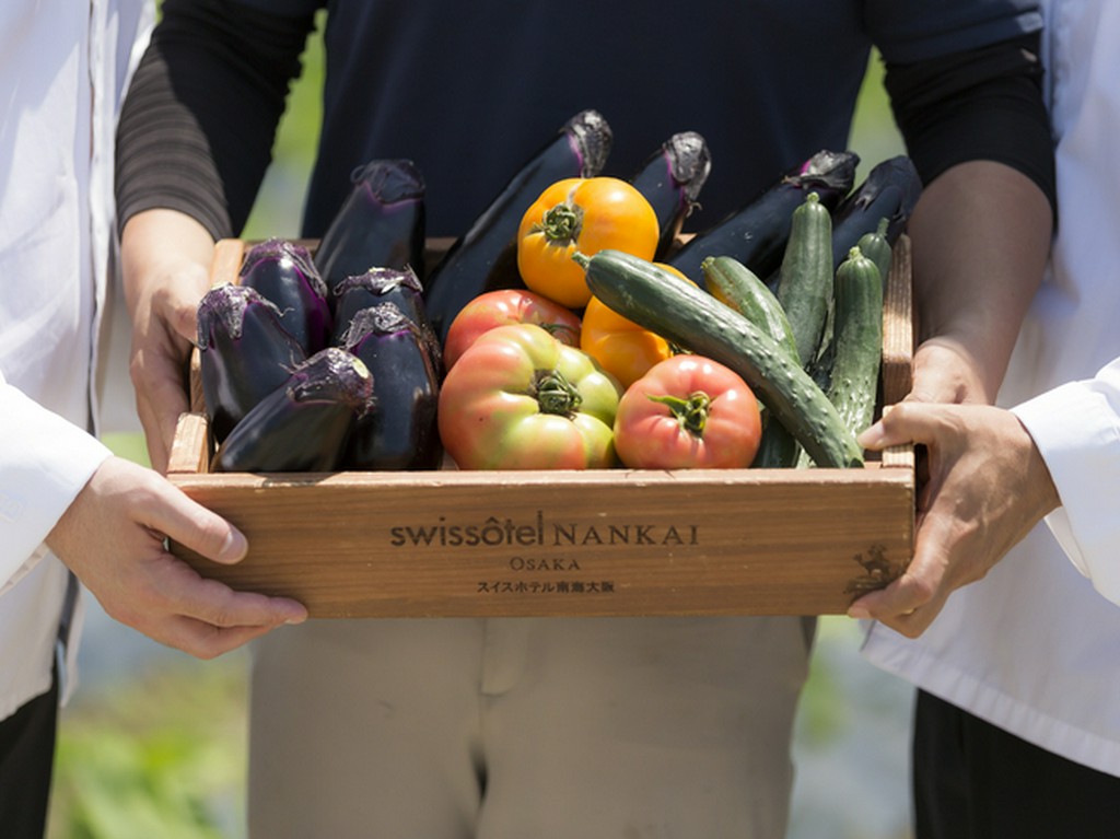 鉄板で焼き上げ、おいしさがアップする大阪・泉州産の直送野菜