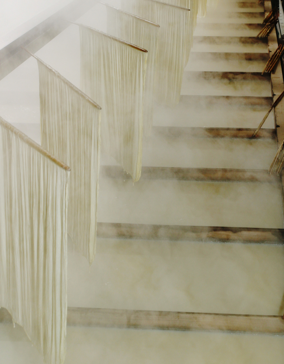 We use up all the special soy milk.