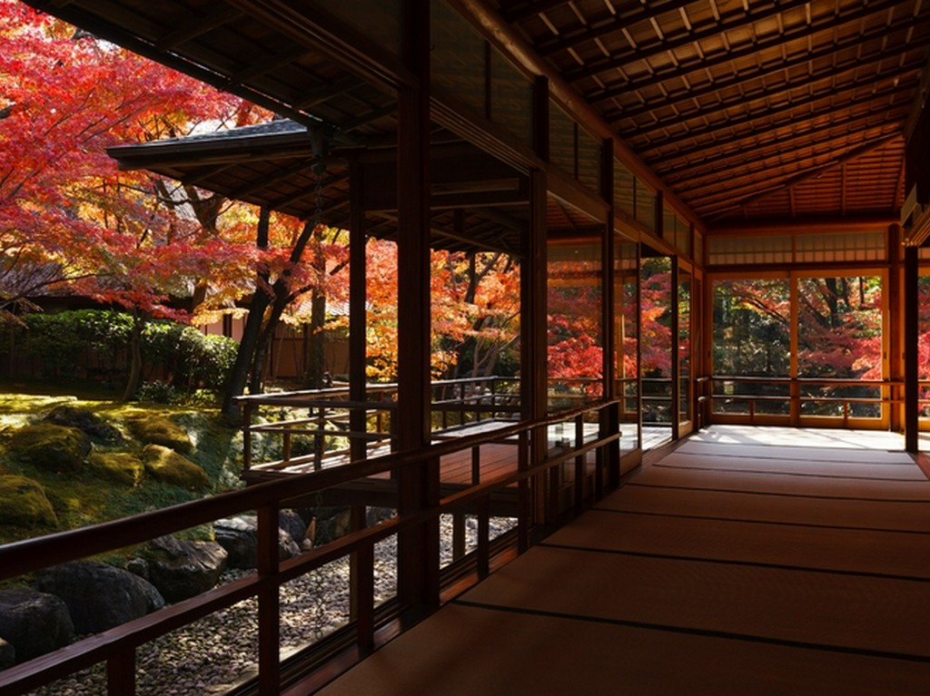 人と自然が共存する八事の地で、豊かなの食の一時を