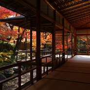 名古屋駅から地下鉄で30分ほど。八事の地で待つのは、日本建築の粋が随所に光る、静寂に満ちた空間。人の営みと自然が共存するこの場所では、日々の喧騒をしばし忘れ、豊かな食の一時を過ごせます。