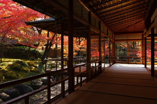 くつろげる雰囲気