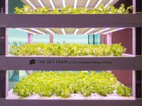 レストラン併設の水耕栽培菜園「The Sky Farm」から届く新鮮な野菜