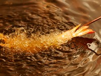 お食事のみのコースとなります。
※全員揃われる時間からの、スタートでお願いしております。