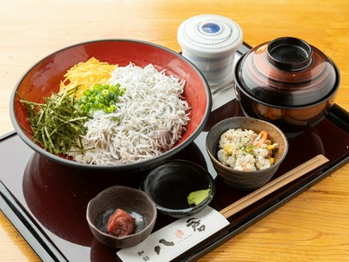 朝どれ湘南しらすが旨い！元祖『八倉名物 釜揚げしらす丼』