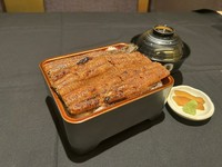 大き目の鰻一本