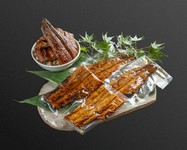 ※写真は半身4P