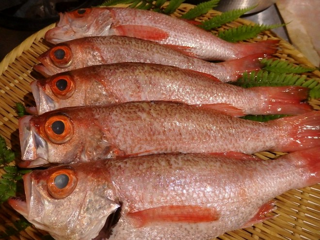 宴会におすすめ