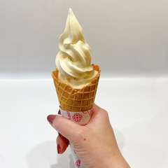 ［定番］ソフトクリーム