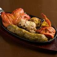 タンドリーチキン、チキンティッカ、シークカバブ、マライティッカ、ガーリックティッカ、タンドリープロンの盛り合わせ