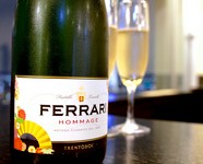 イタリア名門”フェッラーリ”のシャルドネが大変おすすめです。
優しい味わいが和食との相性抜群。