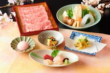 鯛のお造りは天然物、旨味と食感を！
春野菜の天麩羅は、風味豊かにサクッと美味しくいただきます。