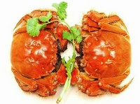 １０月２１日から上海蟹の販売が始まりました！
１２月３０日までの期間限定でのご提供。
ぜひこの機会にご賞味ください。