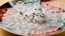 光本人気NO1のコース☆彡新鮮なふぐを使用したコース！