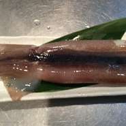 浜焼きの定番です！