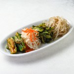 きゅうり・もやし・青菜・大根