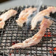 一羽にわずか。希少部位の格別な鶏肉のおいしさ『鶏せせり』