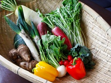 榛名の自家農園　無農薬野菜(コース料理に使用)
