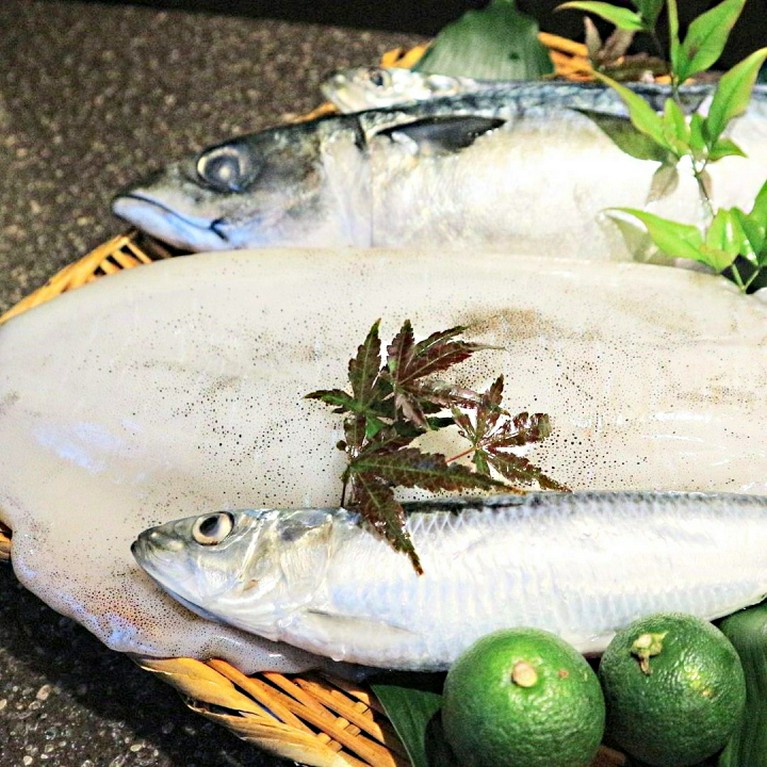 本日の魚料理
