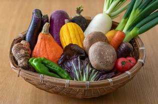 京丹後のオーガニックファーム「SORA農園」の新鮮野菜