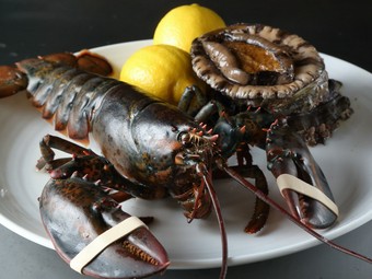 料理人の技が光る『海と大地の厳選素材』