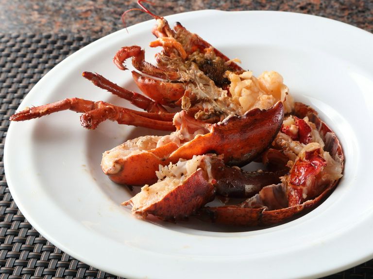 『GOURMET PALETTE』 料理一例