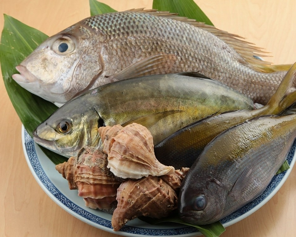 各地の漁港直送。新鮮な海の幸と、季節を感じる旬の料理