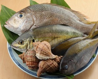 各地の漁港直送。新鮮な海の幸と、季節を感じる旬の料理