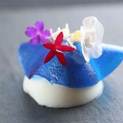 アートを食する。コース幕開けを彩るカラフルな一皿『本日アミューズ　青のマリアージュ』