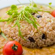 数種のスパイスを配合して手づくりする人気の一品。無添加・グルテンフリーのカレーに合わせる食材は、ハラル認証のチキンか野菜を選択可能。白米の代わりに“発芽三昧”を使用しており、栄養バランスも抜群です。