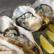 オイスター・オマール海老・産地直送の海鮮・有機野菜など厳選した食材の数々。素材の持ち味を活かしたイタリア各地の伝統料理が堪能できます。鮮やかに盛り付けられた一皿を、極上ワインとともにいかが。