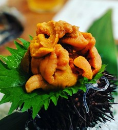 雲丹×黒毛和牛×旬のコース