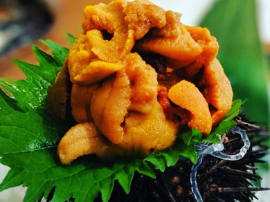 雲丹×黒毛和牛×旬のコース