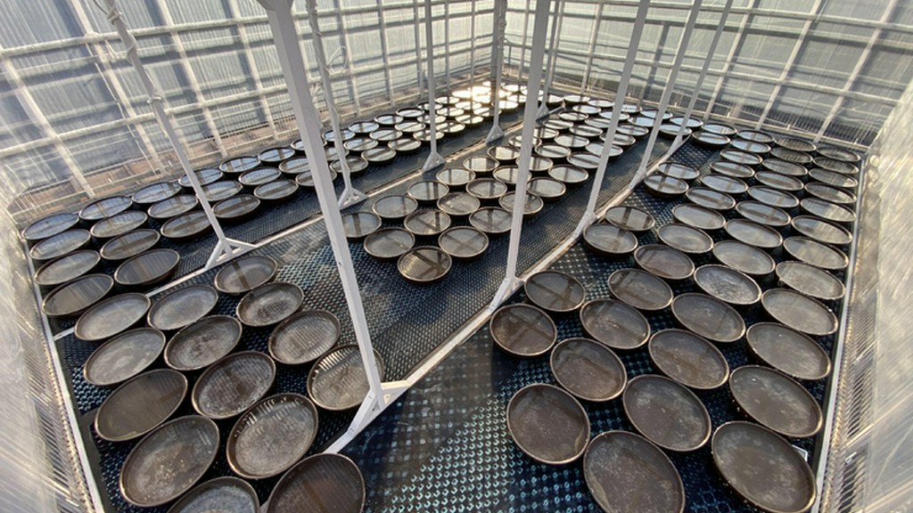 近場の素材こそ宝！地域ならではの美味を数多く味わえます