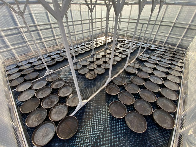 地方の味を楽しめる