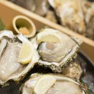 味が濃く食べ応えのある大きさの『殻付き牡蠣』