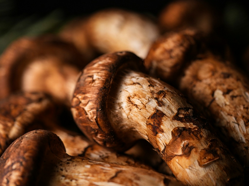 お祝い事や人生の節目の宴席など、家族の歴史に寄り添う一軒