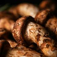 特別な日を大切な人たちと共に過ごすのに理想的な日本料理店。完全個室が充実し、お子様連れの食事会ものびのび楽しめます。各種記念日、入学や卒業のお祝い、還暦など人生の節目の宴、お顔合わせなどに人気です。