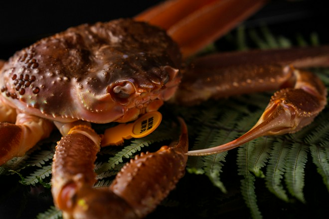 オシャレな雰囲気