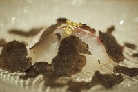 コースを盛り上げる一皿『白身魚のトリュフがけ』