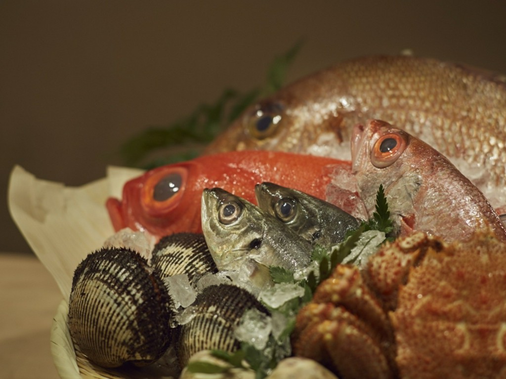 旬の旨みを逃さず買い付ける魚介類
