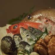 四季を感じる料理を提供したいと、全国各地から新鮮で良質な魚介類を仕入れています。中でも、時間をかけて炊きあげた穴子は、口の中でとろける柔らかさ。繊細で丁寧な仕事で極上の味へと昇華させています。