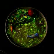 「命の万華鏡」を思わせる、ストーリー仕立てのコース。4大元素「土・火・水・風」をテーマに展開し、フュージョン料理とプロジェクションマッピングやVRによる仮想空間で世界が創造される姿を表現しています。